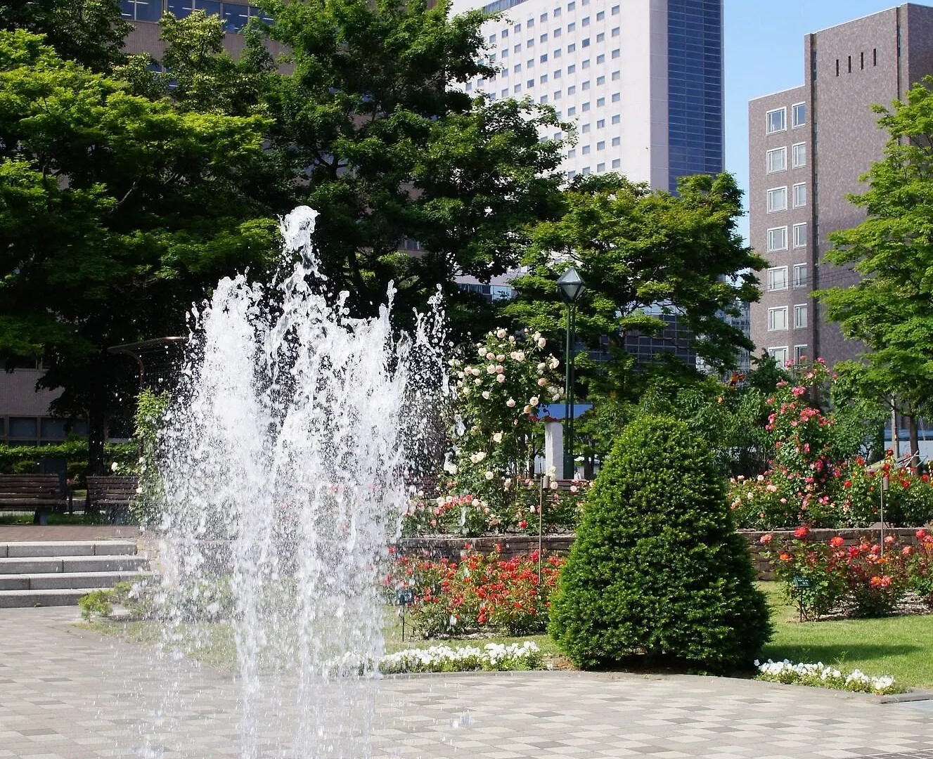 Royton Sapporo Hotel 5*,  Japan